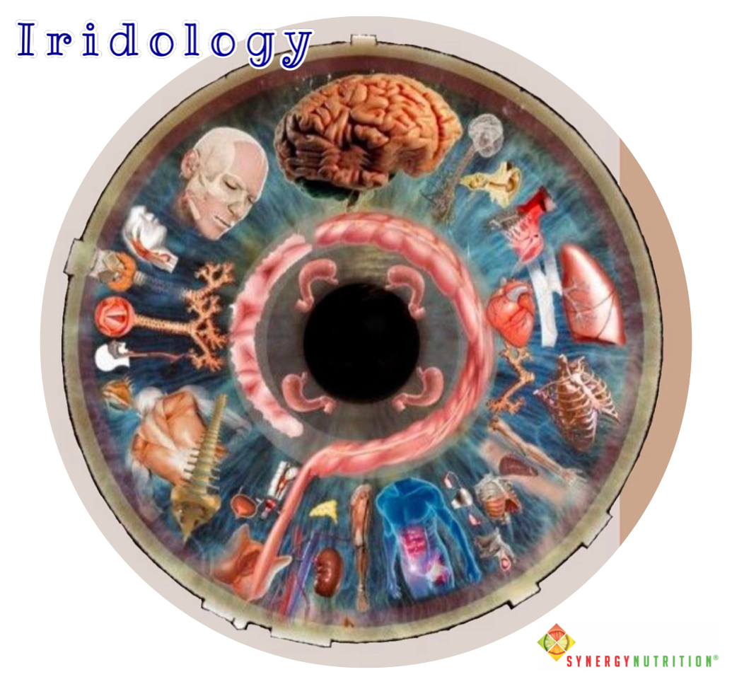 SYNERGY NUTRITION-Iridology