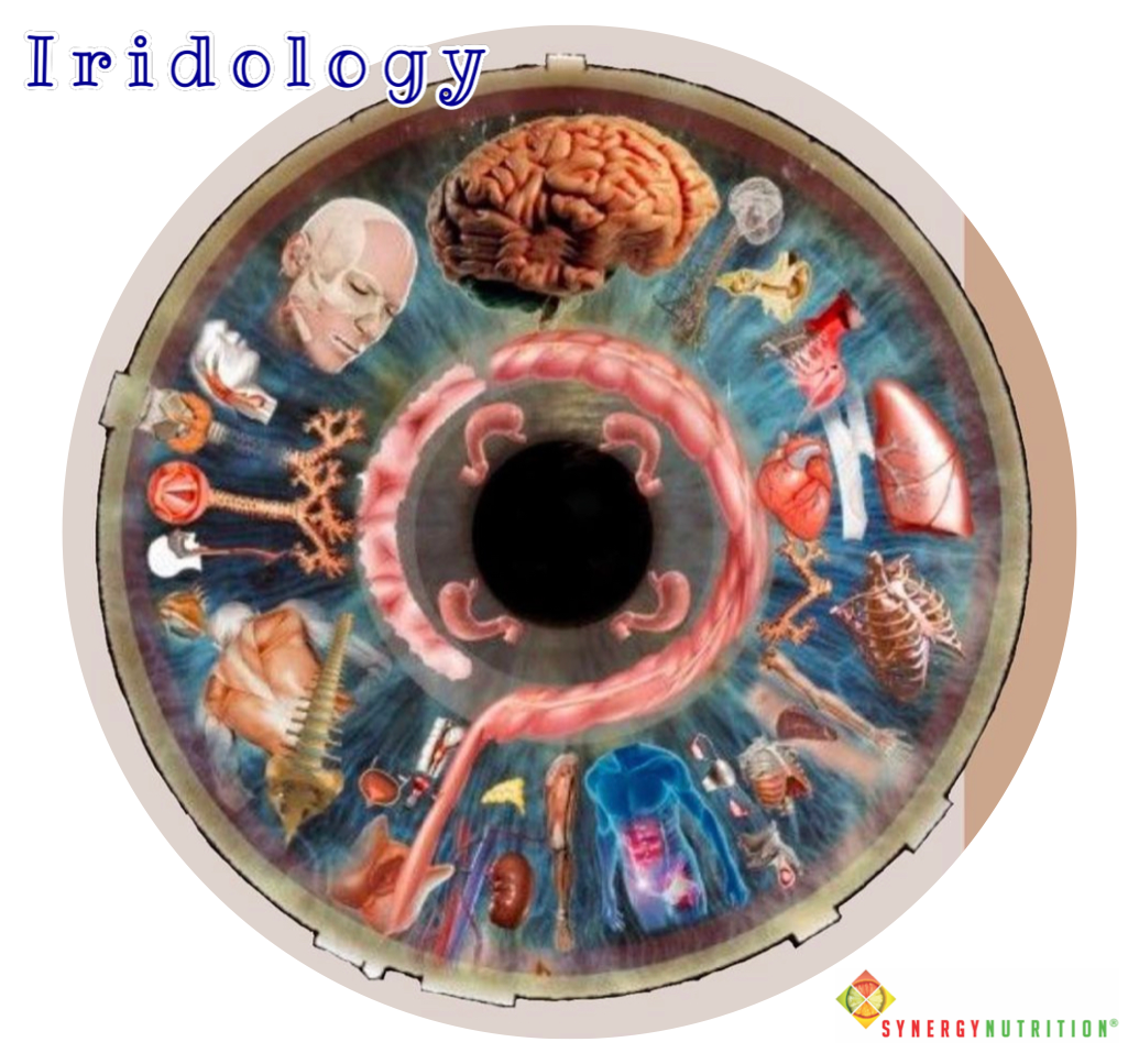 SYNERGY NUTRITION-Iridology SYNERGY NUTRITION-Iridology